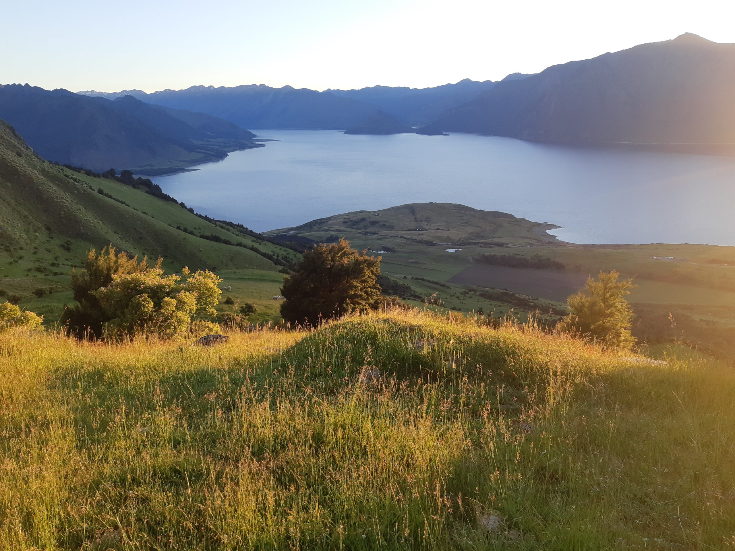 Queenstown and Central Otago Bike Trails